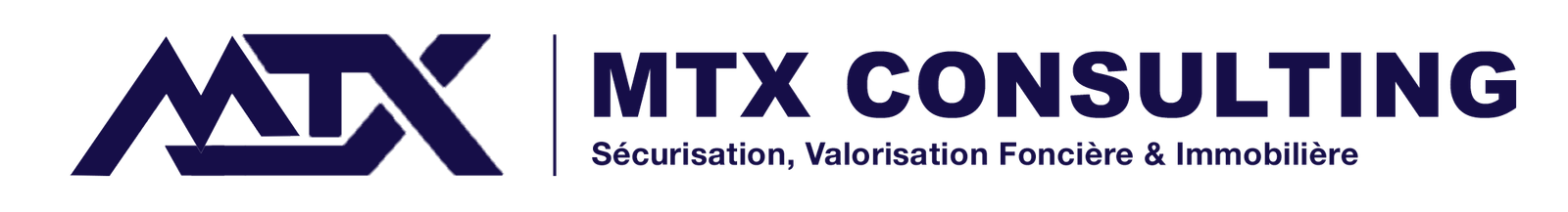MTX Consulting